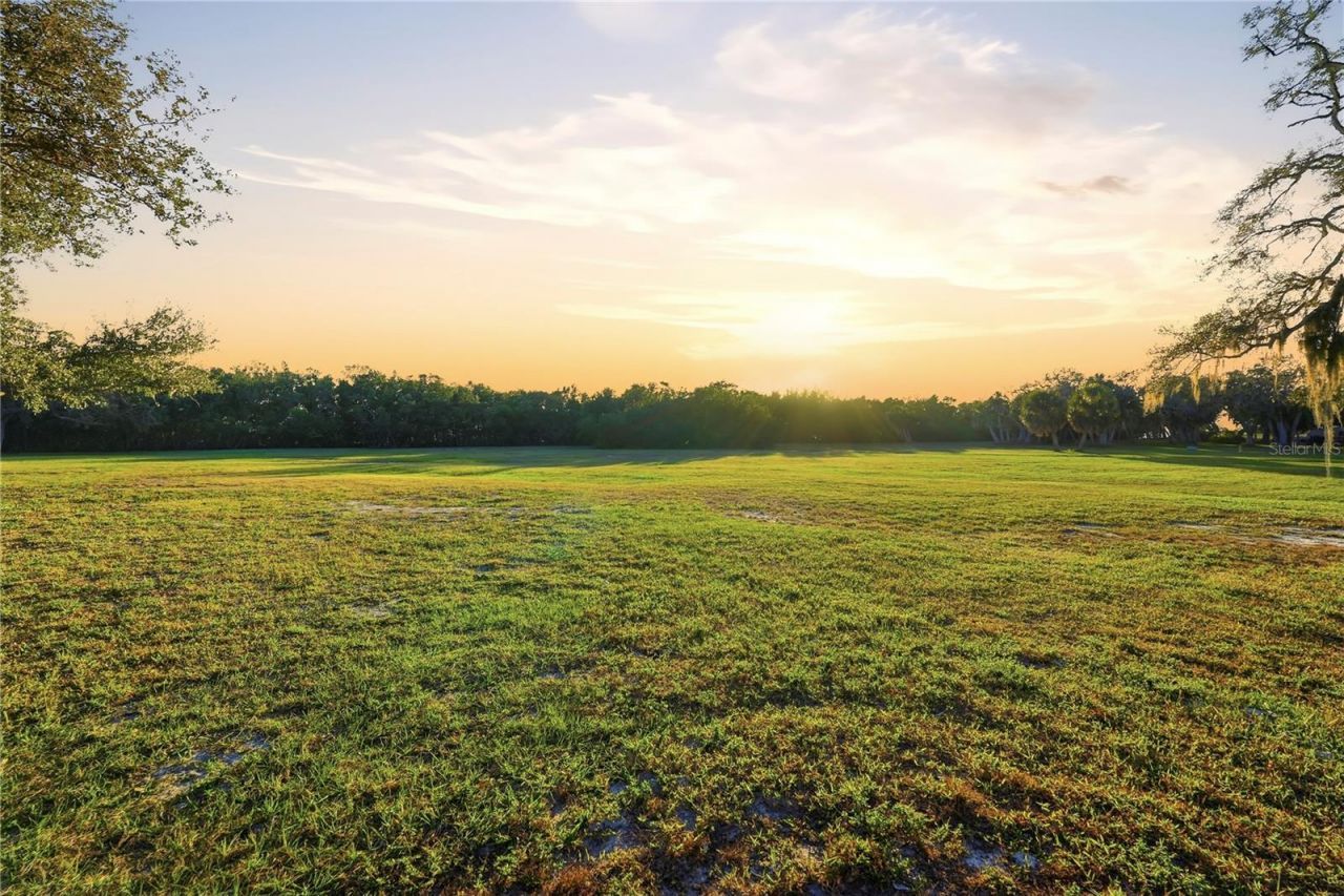 7331 Demens Drive S, Saint Petersburg, FL 33712 Photo