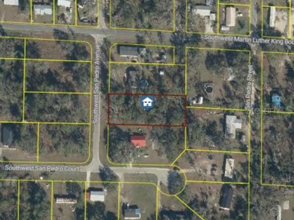 SAN PEDRO AVENUE, MAYO, FL 32066