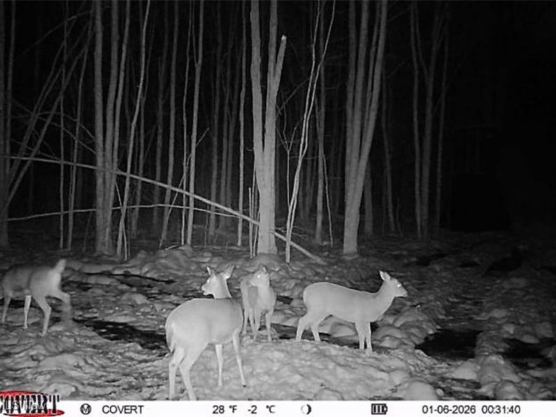 Grand Valley Avenue, Orwell, OH 44076 Photo 11