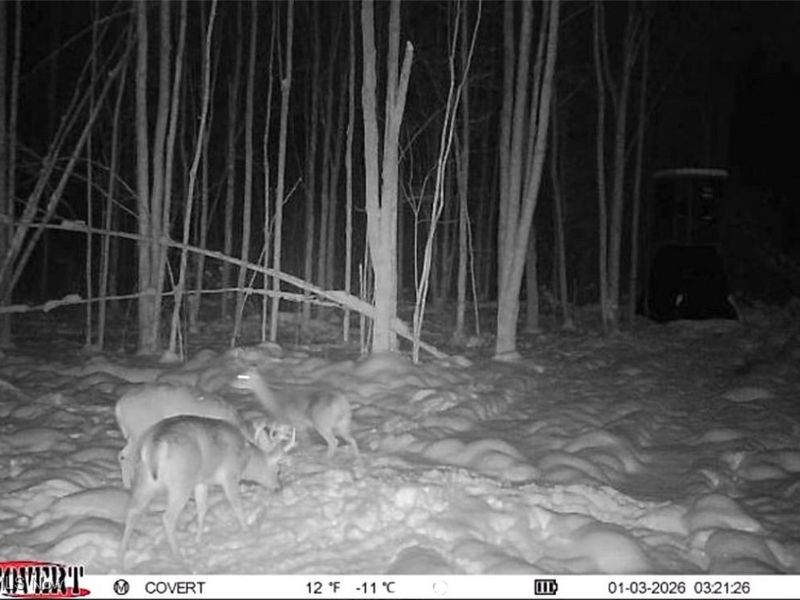 Grand Valley Avenue, Orwell, OH 44076 Photo 12