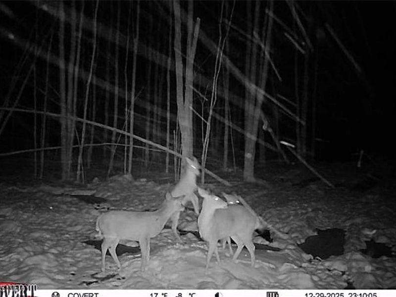 Grand Valley Avenue, Orwell, OH 44076 Photo 13