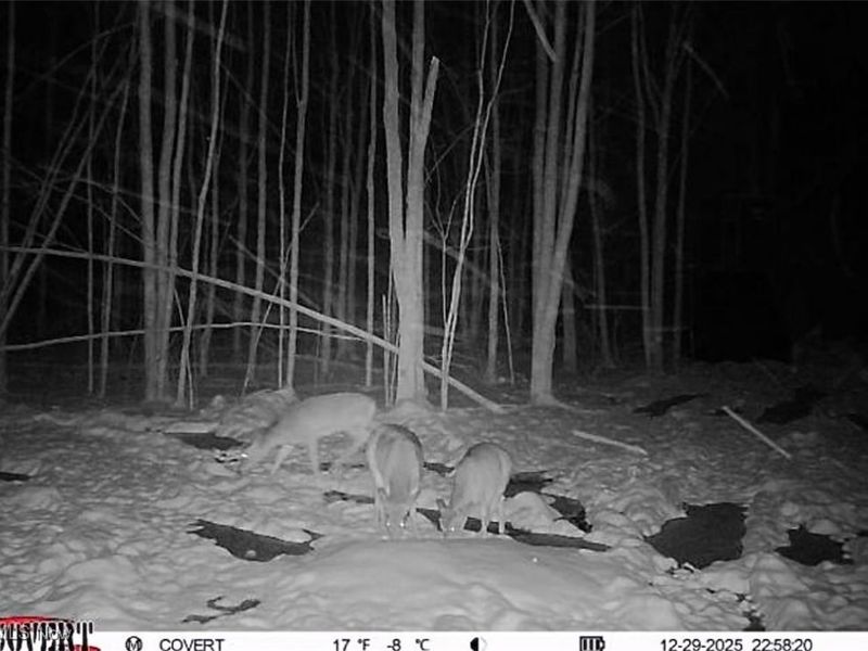 Grand Valley Avenue, Orwell, OH 44076 Photo 14