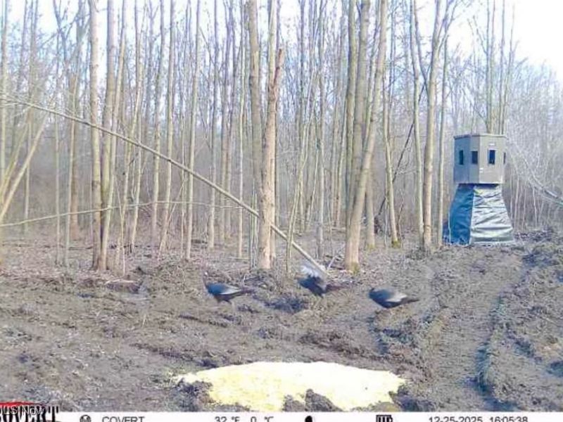 Grand Valley Avenue, Orwell, OH 44076 Photo 15