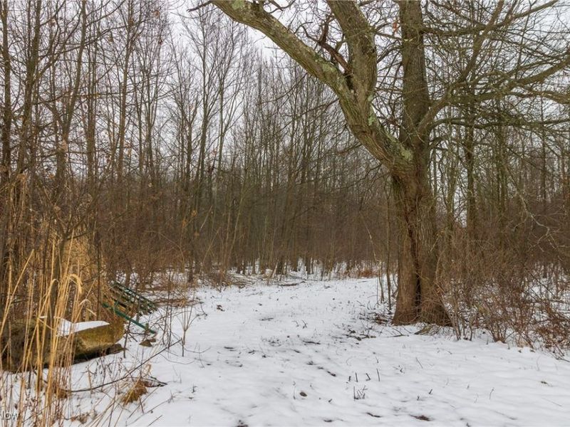 Grand Valley Avenue, Orwell, OH 44076 Photo 16