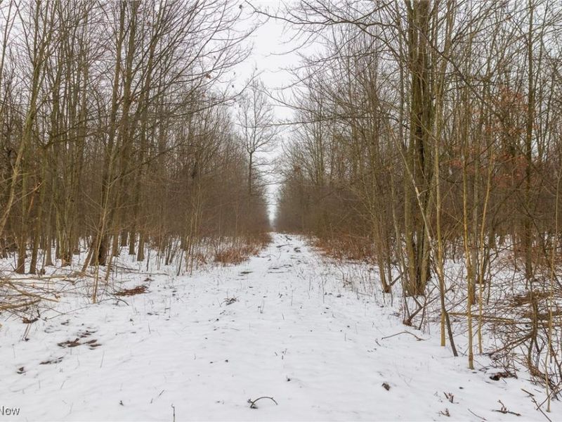 Grand Valley Avenue, Orwell, OH 44076 Photo 17