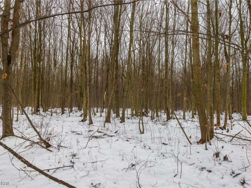 Grand Valley Avenue, Orwell, OH 44076 Photo 18