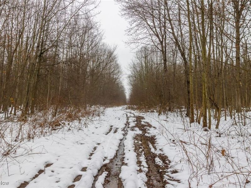 Grand Valley Avenue, Orwell, OH 44076 Photo 19