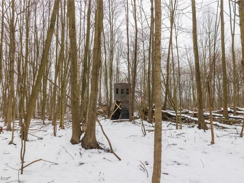 Grand Valley Avenue, Orwell, OH 44076 Photo 20