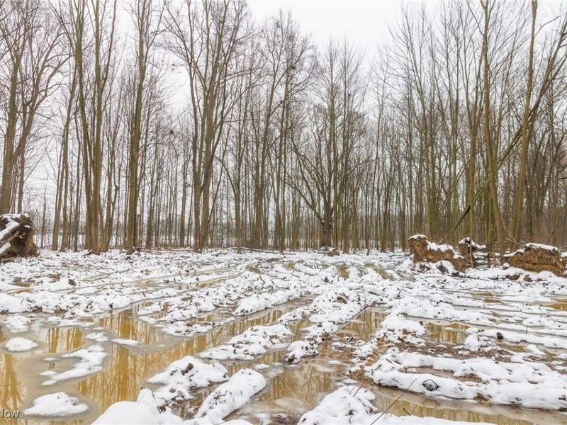 Grand Valley Avenue, Orwell, OH 44076 Photo 21