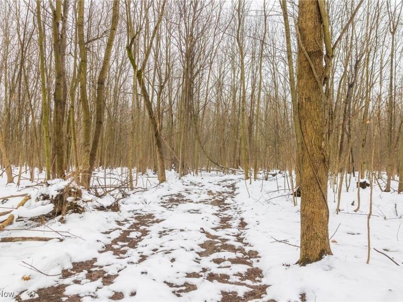 Grand Valley Avenue, Orwell, OH 44076 Photo 22