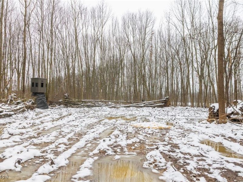 Grand Valley Avenue, Orwell, OH 44076 Photo 23