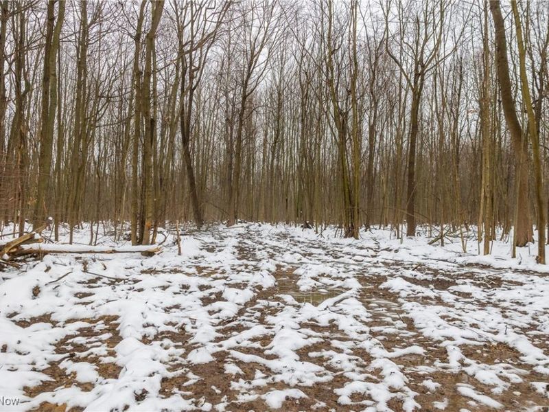 Grand Valley Avenue, Orwell, OH 44076 Photo 24