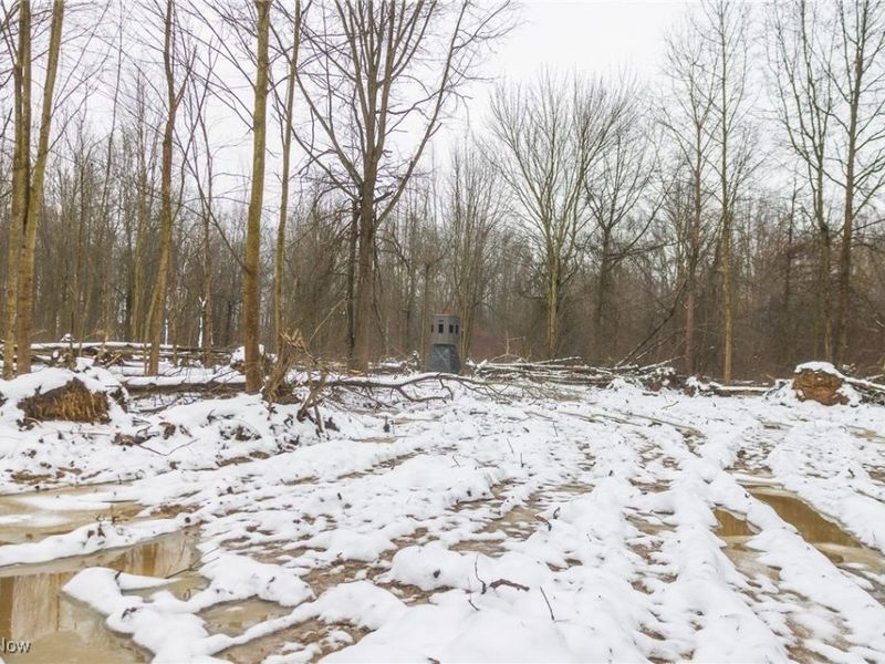 Grand Valley Avenue, Orwell, OH 44076 Photo 25