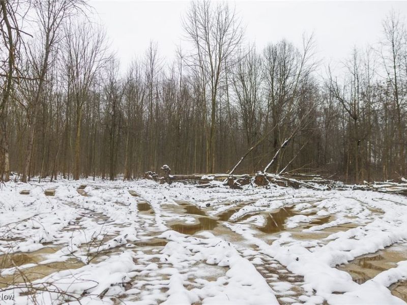 Grand Valley Avenue, Orwell, OH 44076 Photo 26