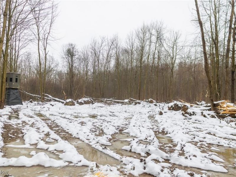 Grand Valley Avenue, Orwell, OH 44076 Photo 27