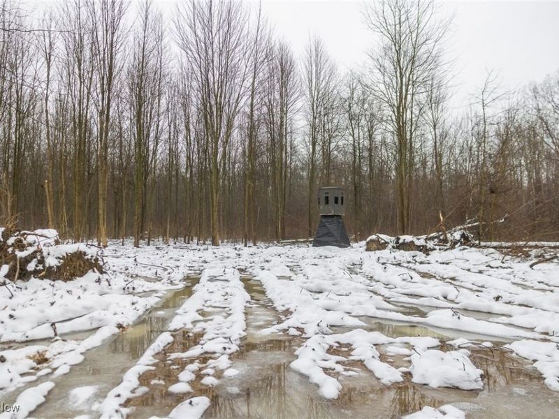 Grand Valley Avenue, Orwell, OH 44076 Photo 28