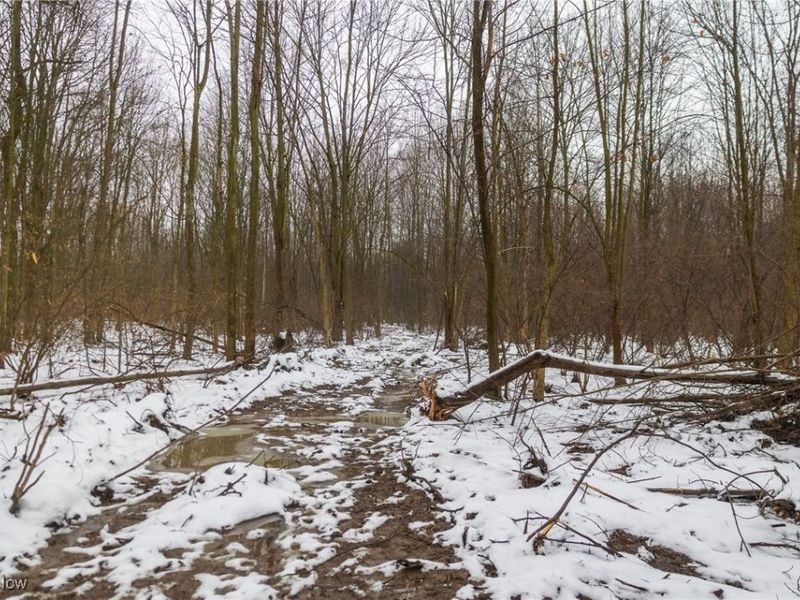 Grand Valley Avenue, Orwell, OH 44076 Photo 29