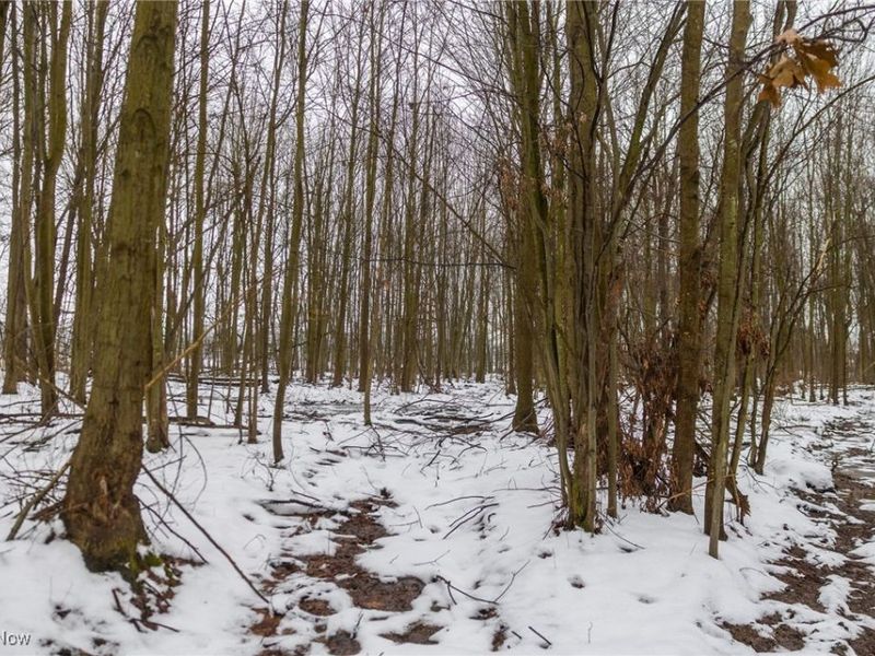 Grand Valley Avenue, Orwell, OH 44076 Photo 30