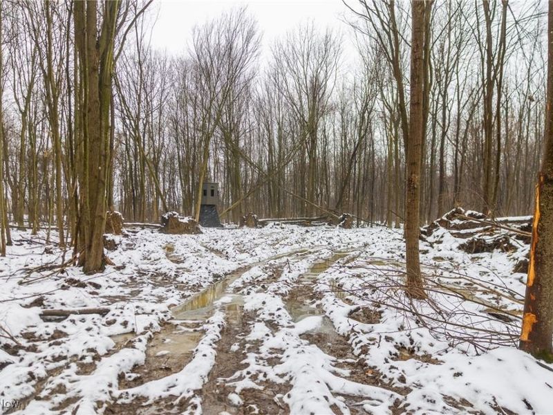 Grand Valley Avenue, Orwell, OH 44076 Photo 31