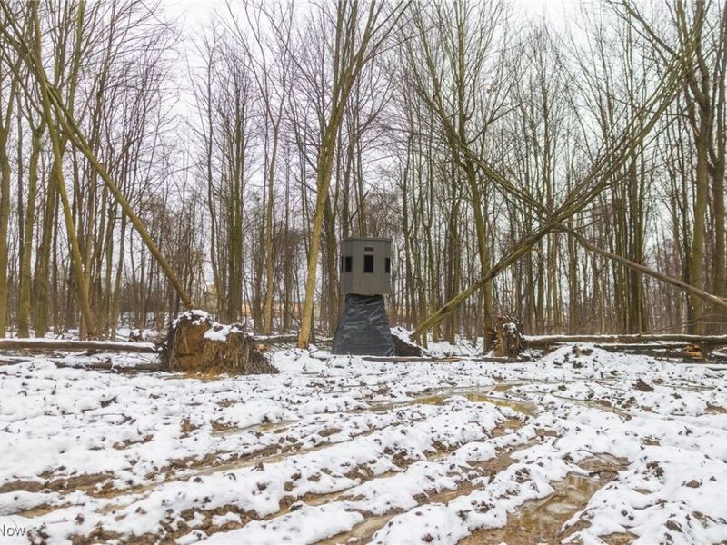 Grand Valley Avenue, Orwell, OH 44076 Photo 32