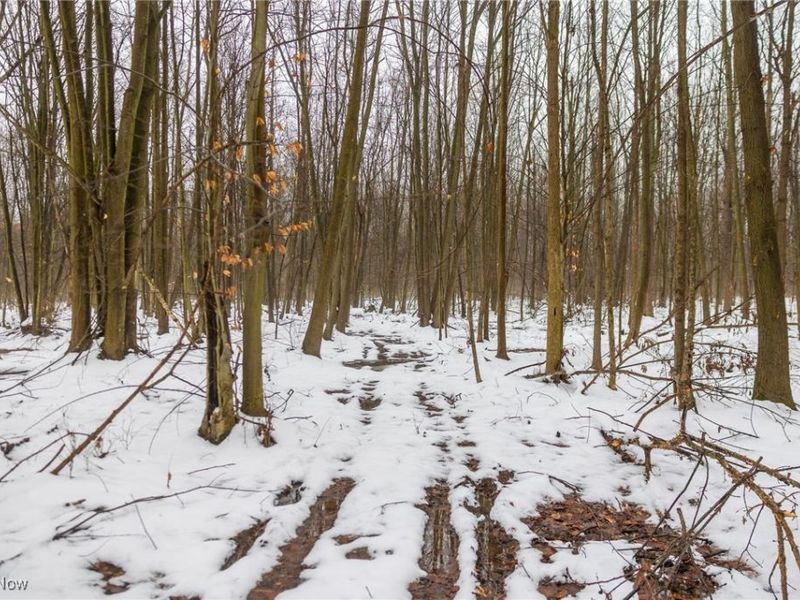 Grand Valley Avenue, Orwell, OH 44076 Photo 33