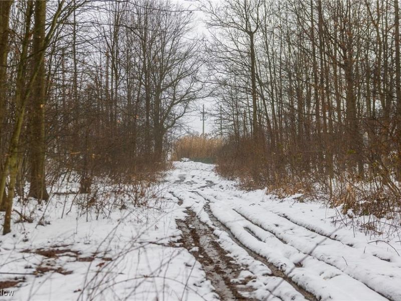 Grand Valley Avenue, Orwell, OH 44076 Photo 34