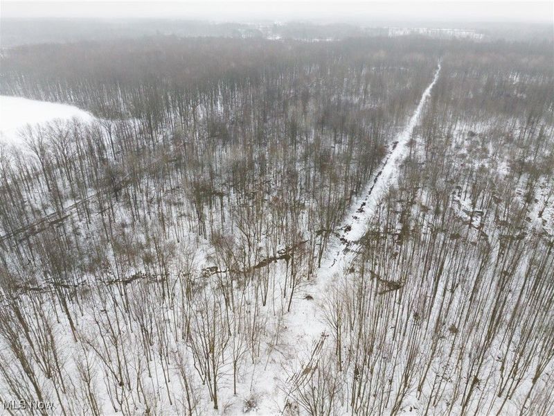 Grand Valley Avenue, Orwell, OH 44076 Photo 38