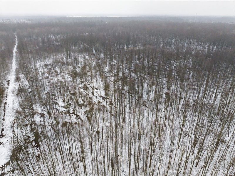 Grand Valley Avenue, Orwell, OH 44076 Photo 39