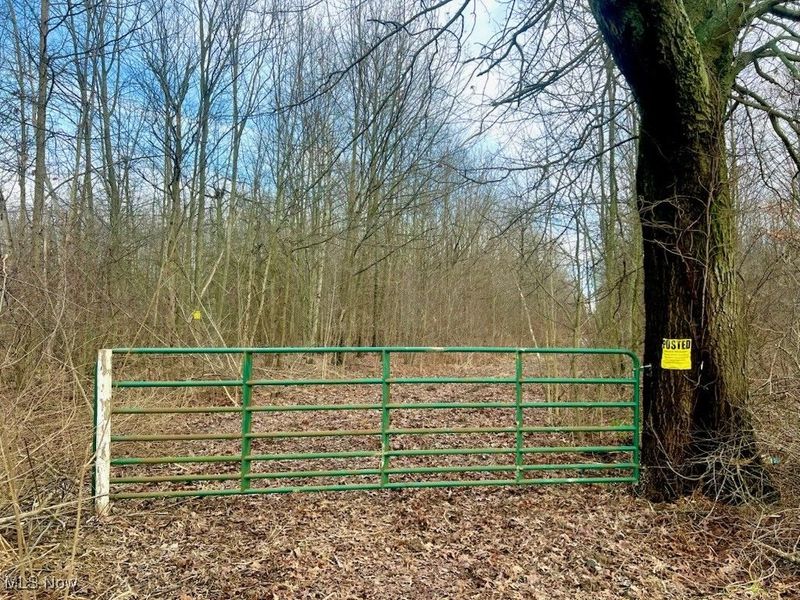 Grand Valley Avenue, Orwell, OH 44076 Photo 4