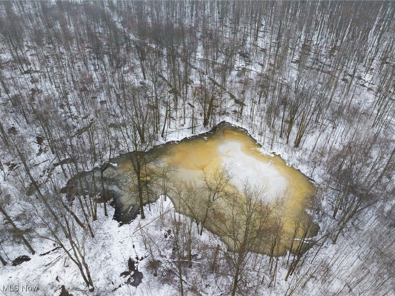 Grand Valley Avenue, Orwell, OH 44076 Photo 40