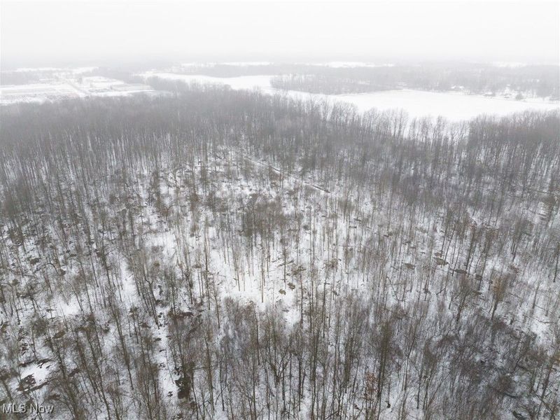 Grand Valley Avenue, Orwell, OH 44076 Photo 43