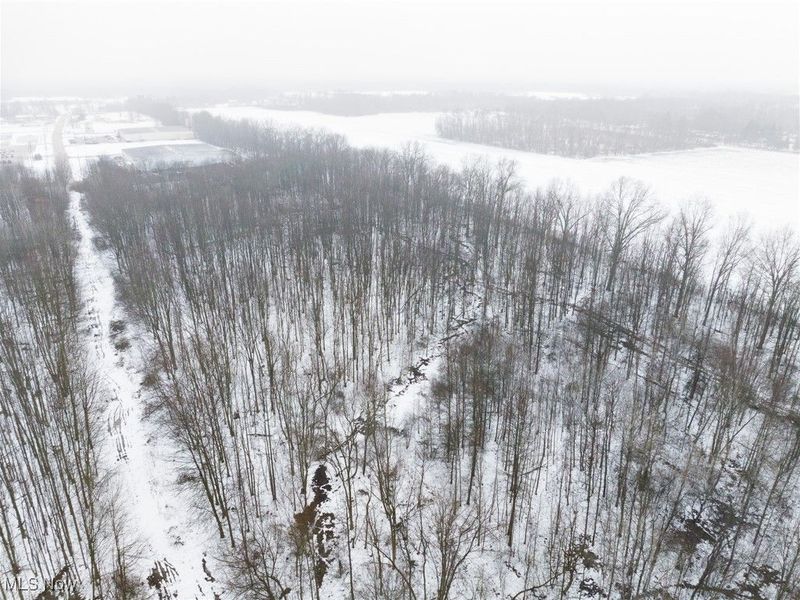 Grand Valley Avenue, Orwell, OH 44076 Photo 47