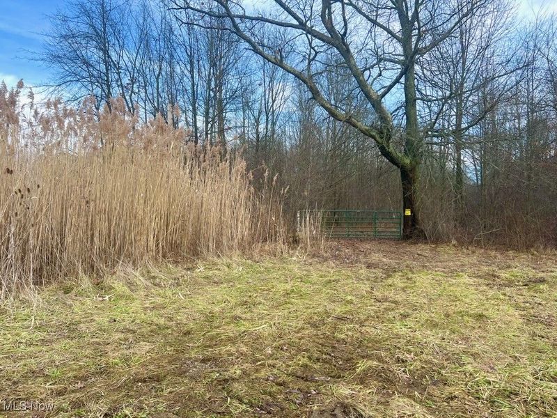 Grand Valley Avenue, Orwell, OH 44076 Photo 5