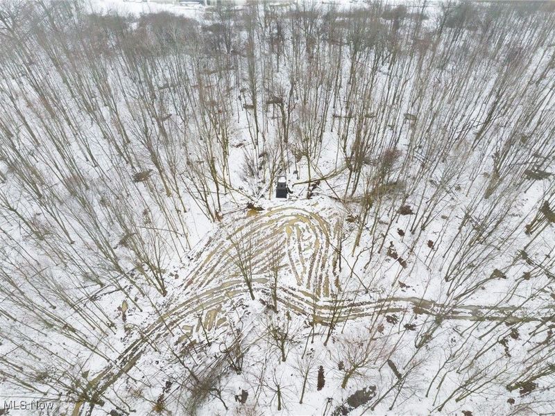 Grand Valley Avenue, Orwell, OH 44076 Photo 50