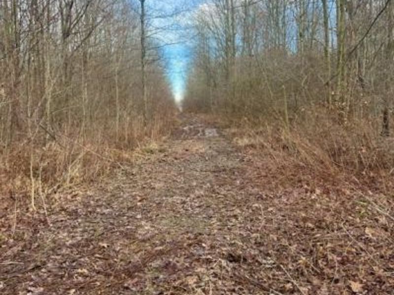 Grand Valley Avenue, Orwell, OH 44076 Photo 6