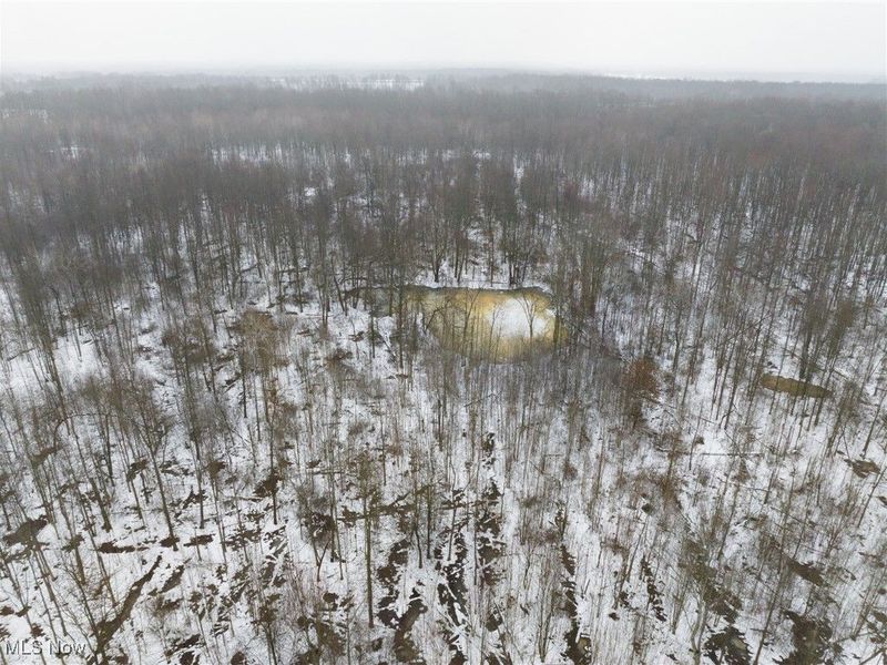 Grand Valley Avenue, Orwell, OH 44076 Photo 8