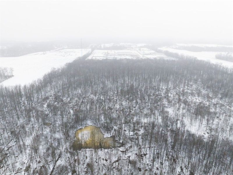 Grand Valley Avenue, Orwell, OH 44076 Photo 9