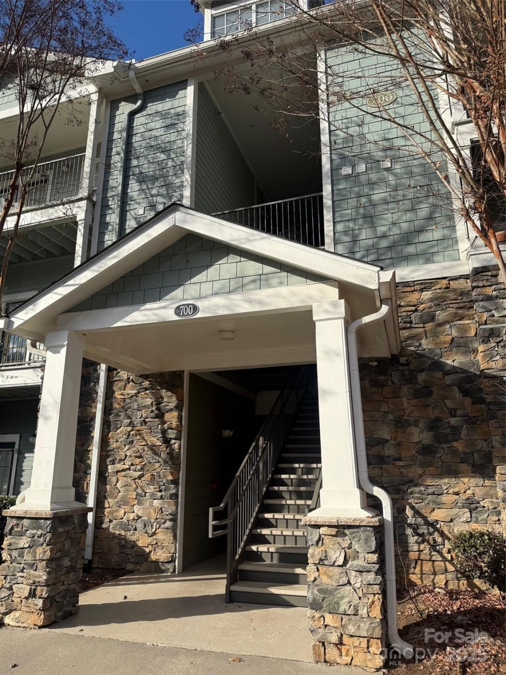 700 Vista Lake Drive, Unit 004, Candler, NC 28715 Main Photo