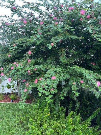 2374 SW Chateau Terrace, Port Saint Lucie, FL 34953 Photo