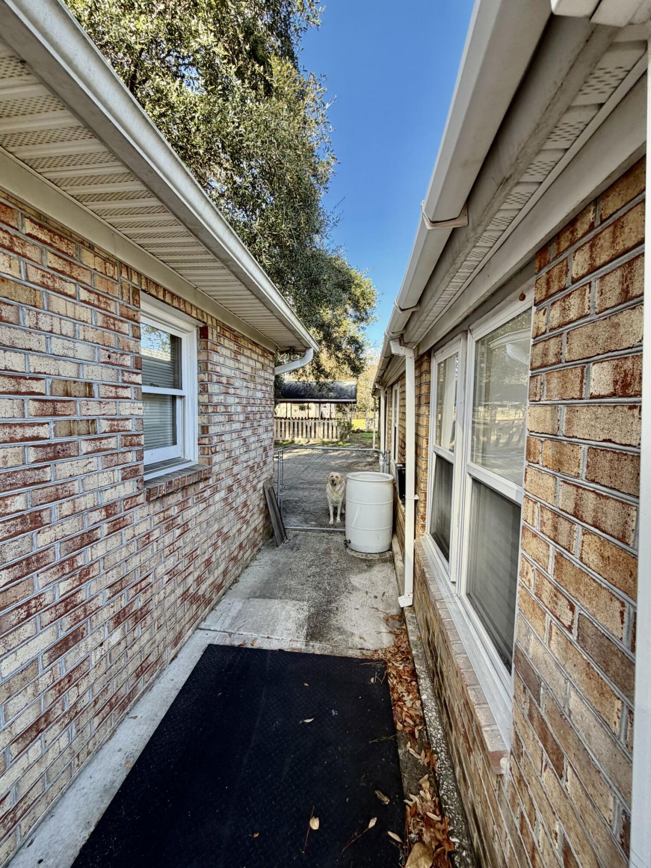 2907 Limestone Boulevard Photo 28