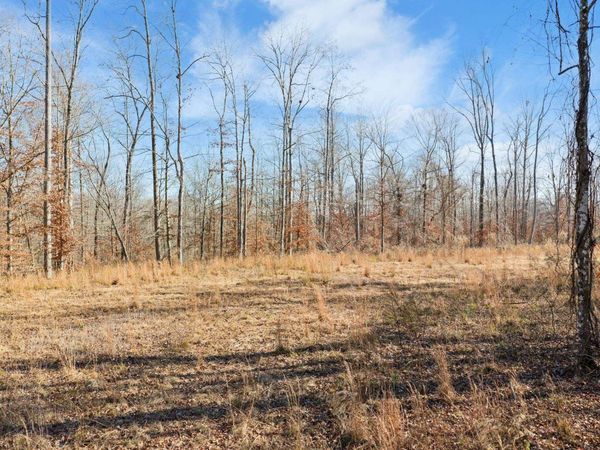 00 HOLLADAY RD, Parsons, TN 38363