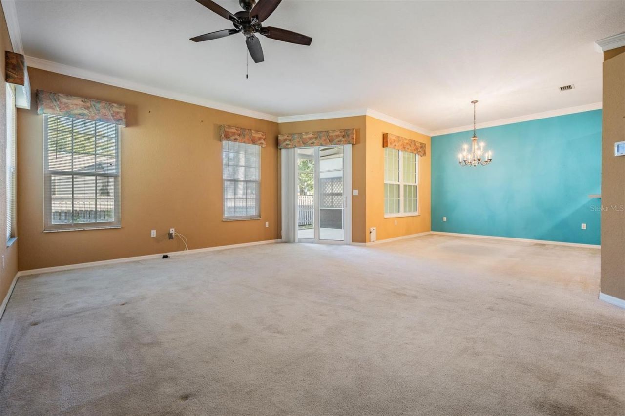 3494 Primrose Way, Palm Harbor, FL 34683 Photo