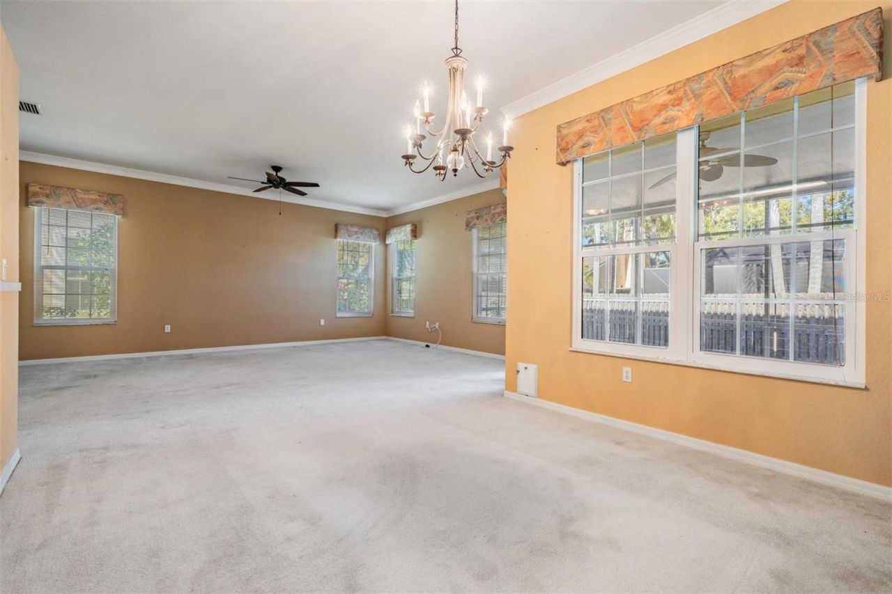 3494 Primrose Way, Palm Harbor, FL 34683 Photo