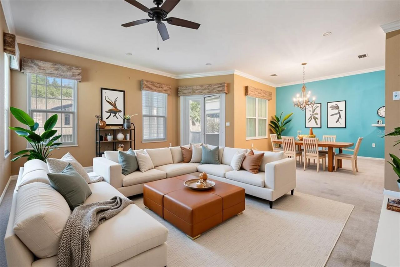 3494 Primrose Way, Palm Harbor, FL 34683 Photo