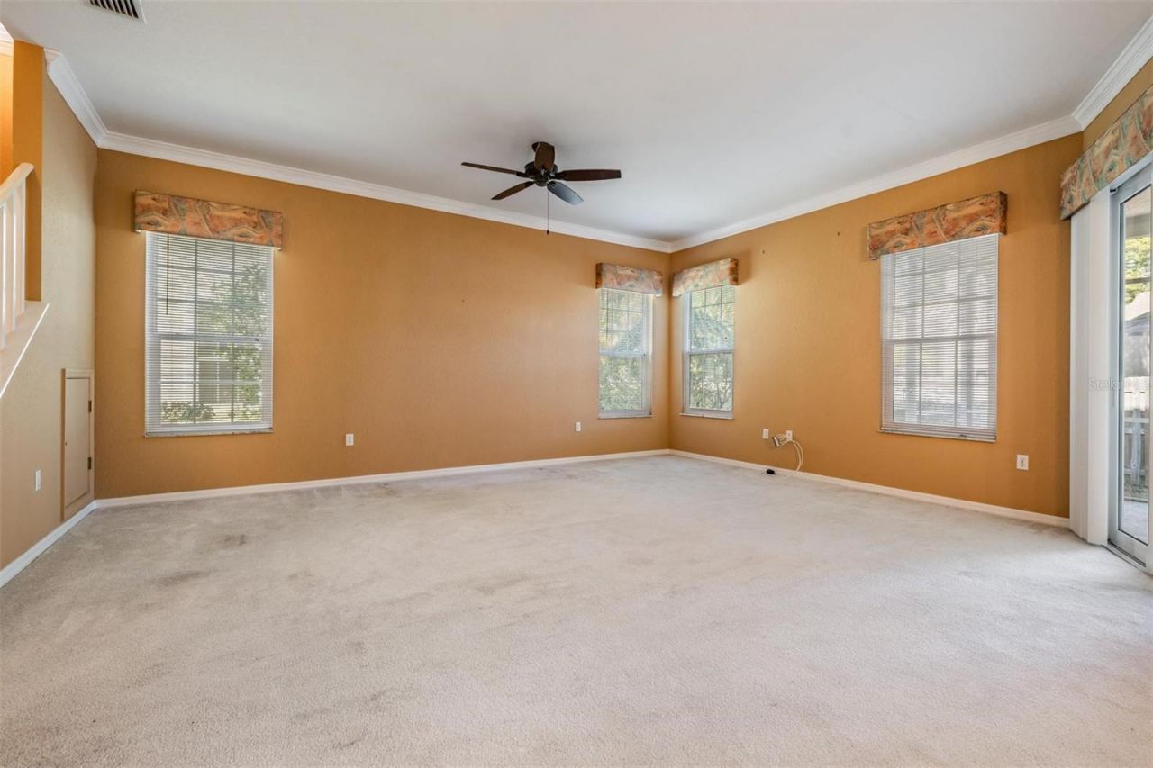 3494 Primrose Way, Palm Harbor, FL 34683 Photo