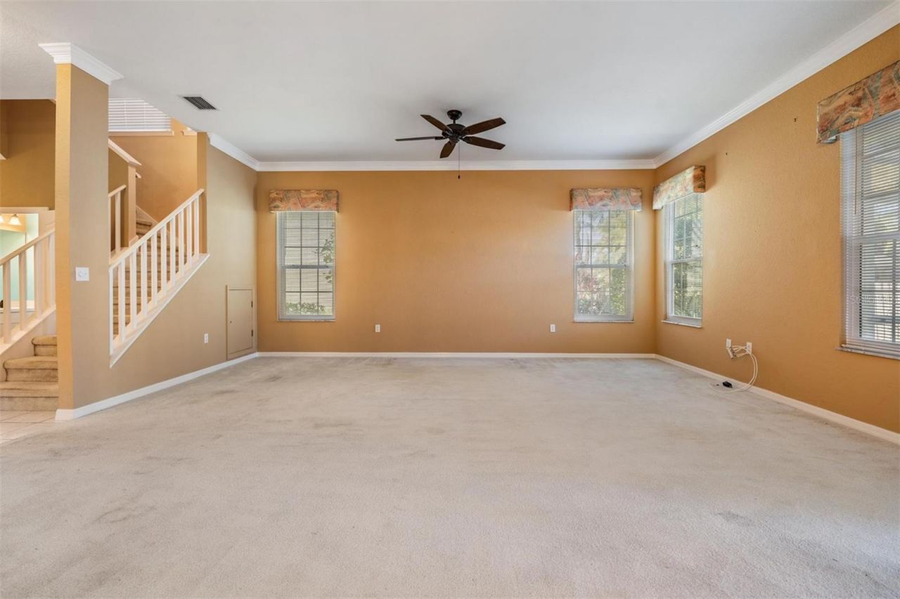 3494 Primrose Way, Palm Harbor, FL 34683 Photo