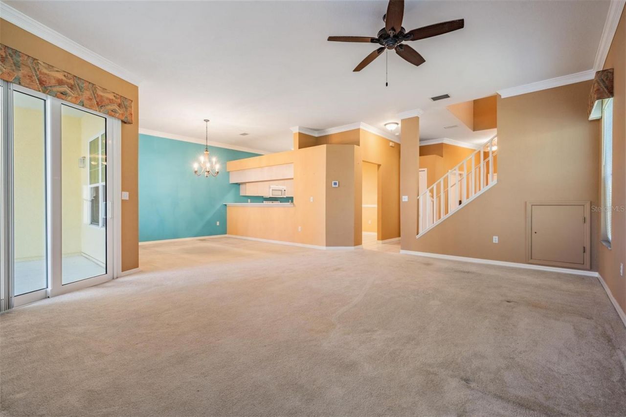 3494 Primrose Way, Palm Harbor, FL 34683 Photo