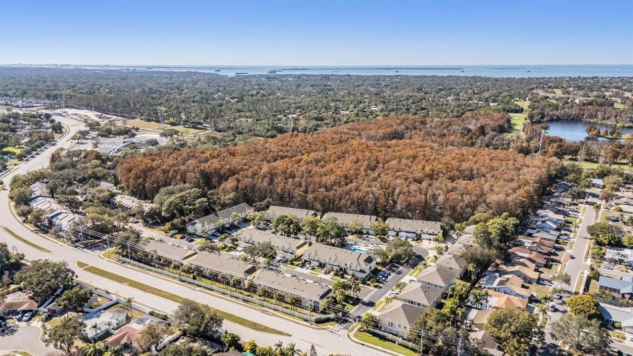 3494 Primrose Way, Palm Harbor, FL 34683 Photo