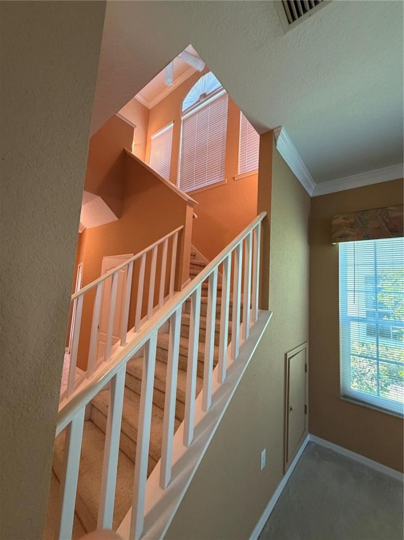 3494 Primrose Way, Palm Harbor, FL 34683 Photo