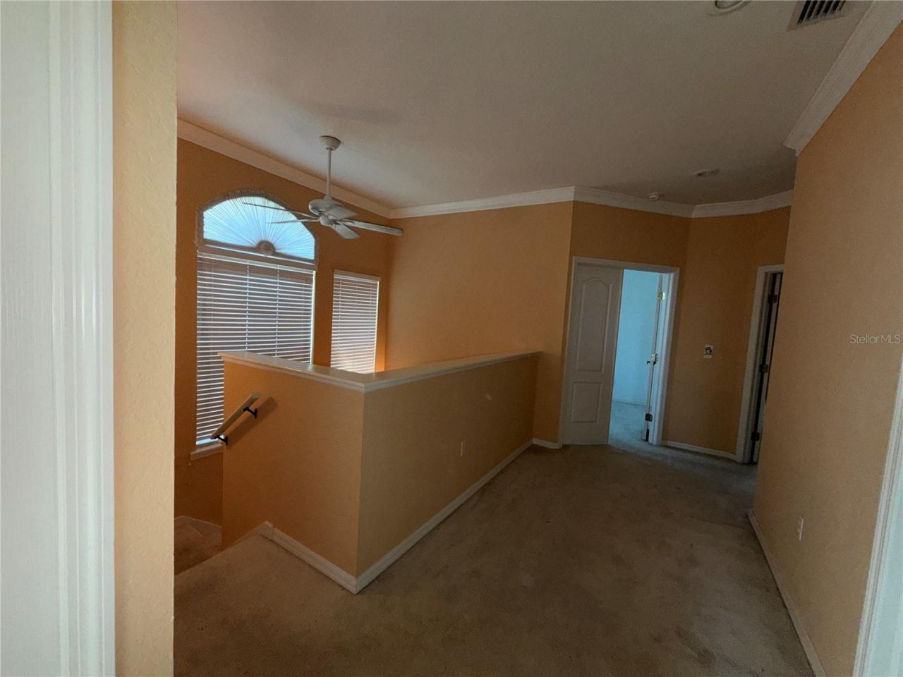 3494 Primrose Way, Palm Harbor, FL 34683 Photo